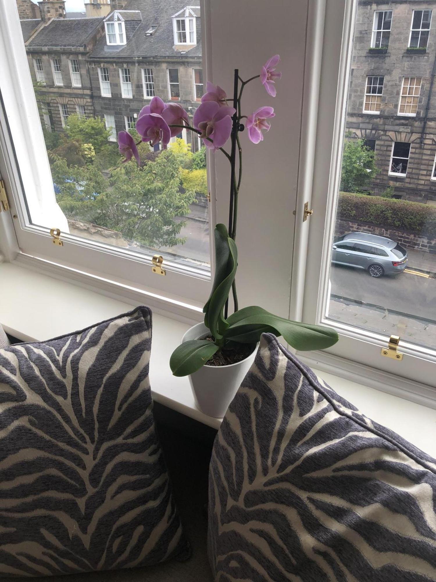 Sheridan Guest House Edinburgh Room photo